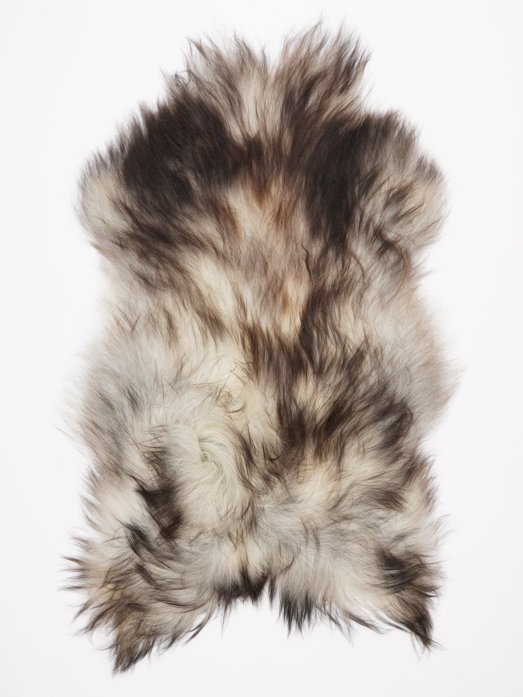 Pilkas islandiškas avikailis XL