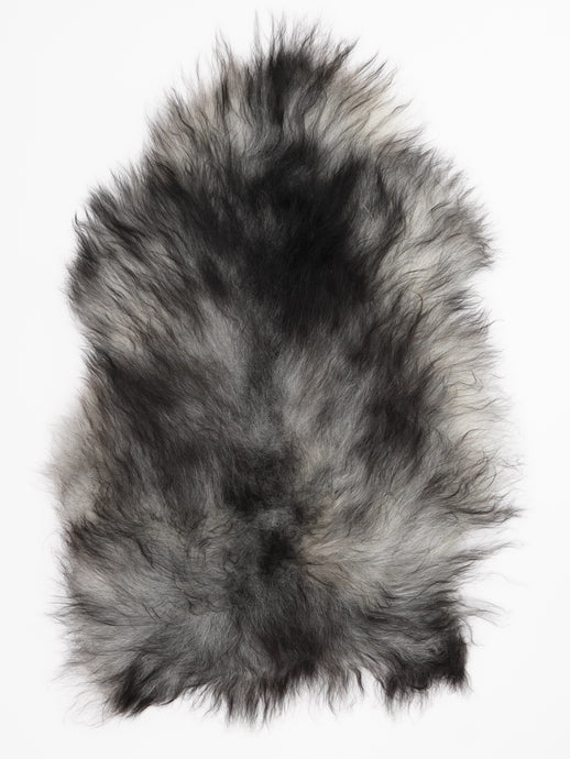 Pilkas islandiškas avikailis L