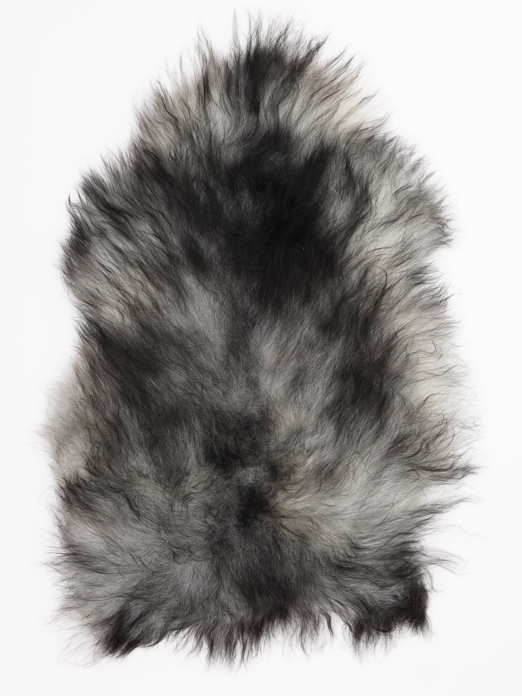 Pilkas islandiškas avikailis L