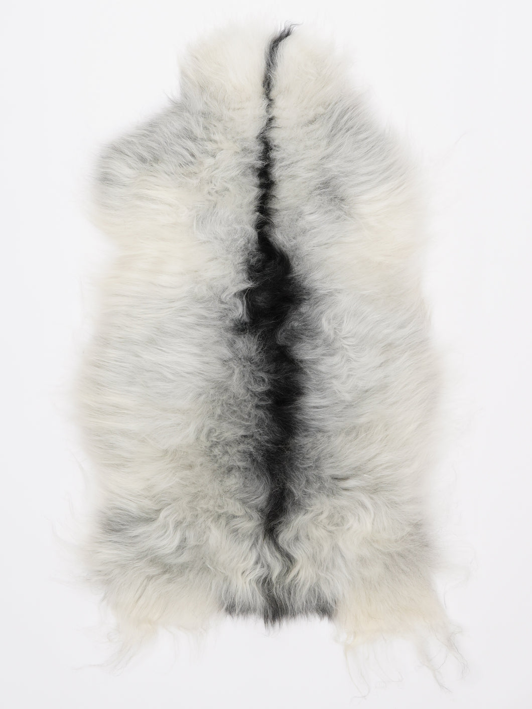 Islandiškas avikailis M