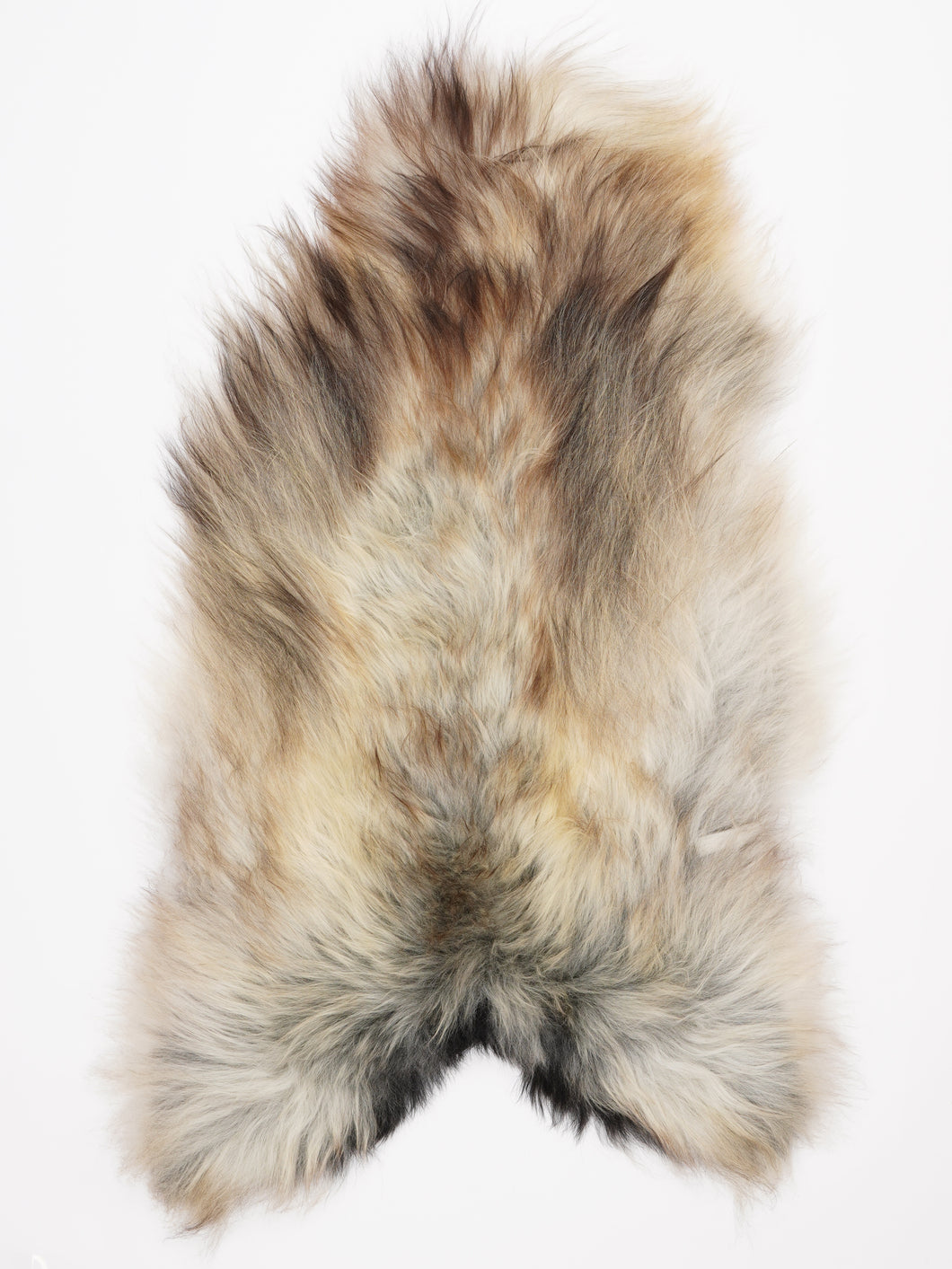 C klasės islandiškas avikailis XXL