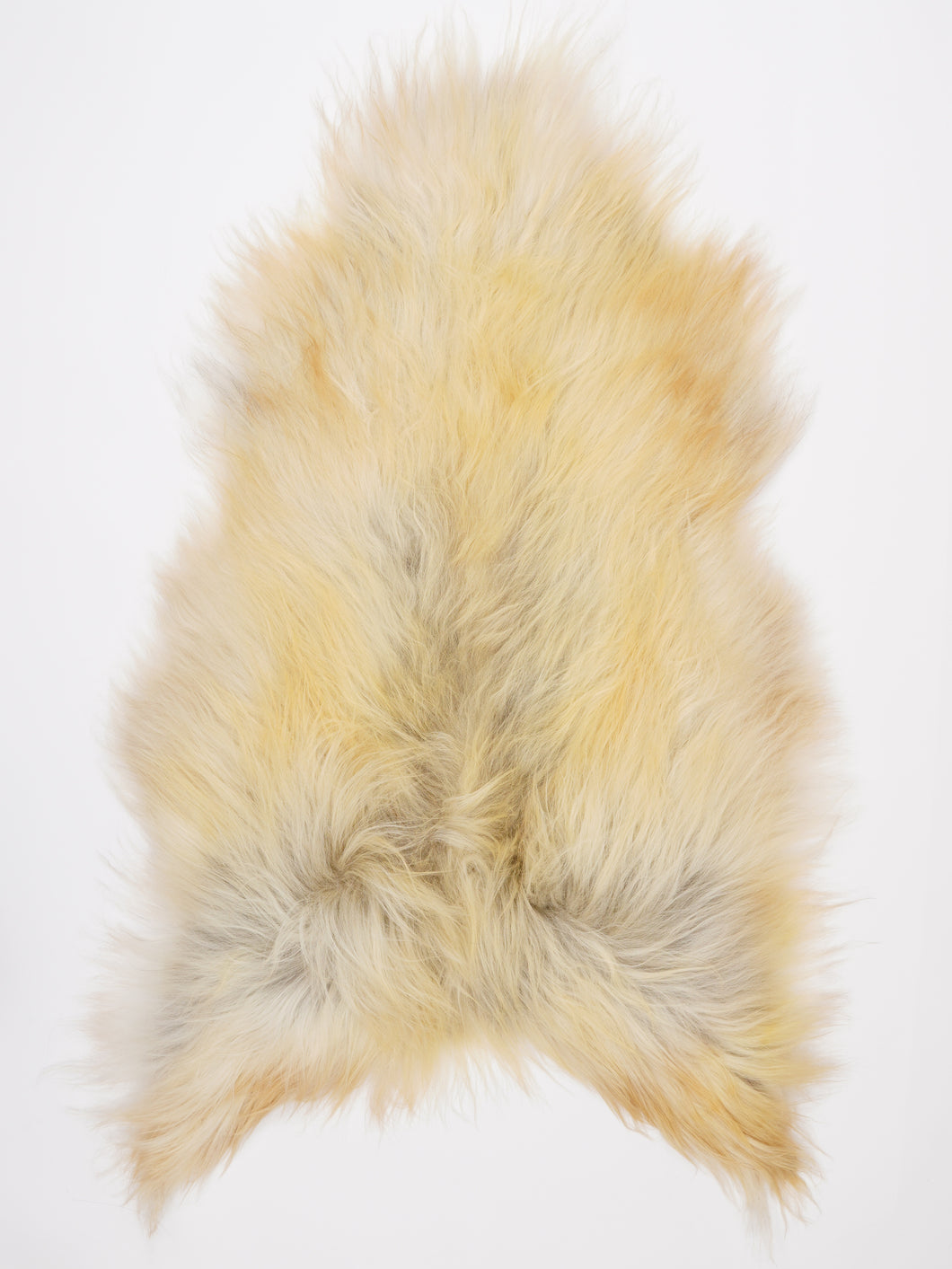 B klasės islandiškas avikailis XL