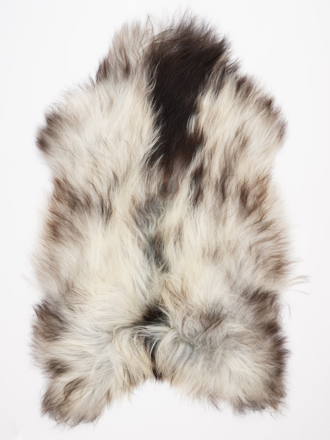 Islandiškas avikailis XXXL