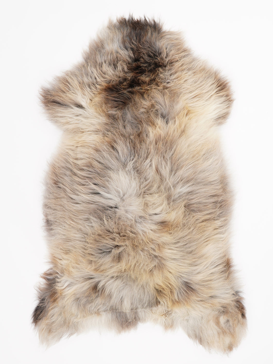 Įvairiaspalvis avikailis XL