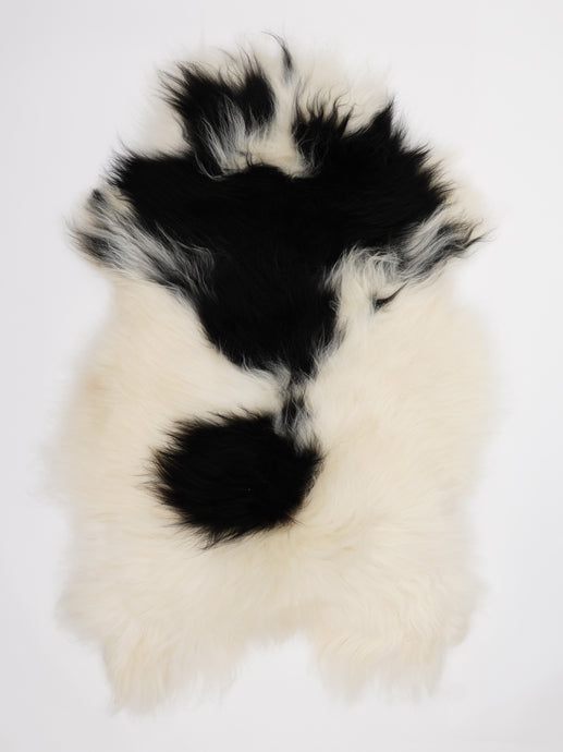 Islandiškas avikailis XL