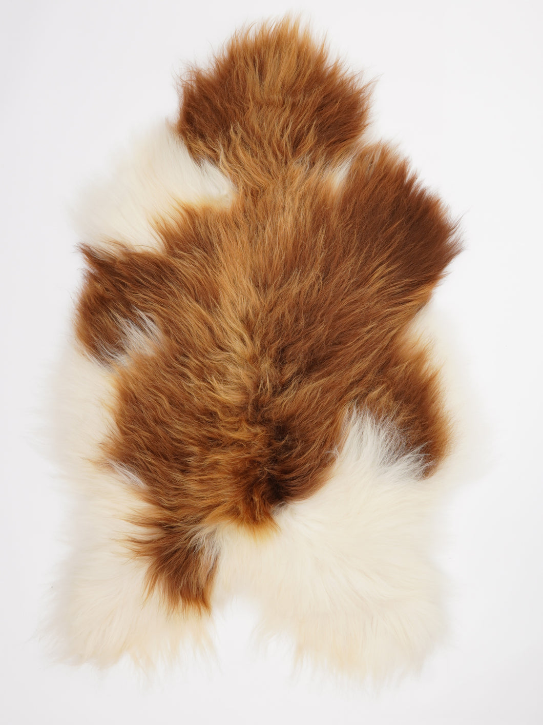 Islandiškas avikailis XL