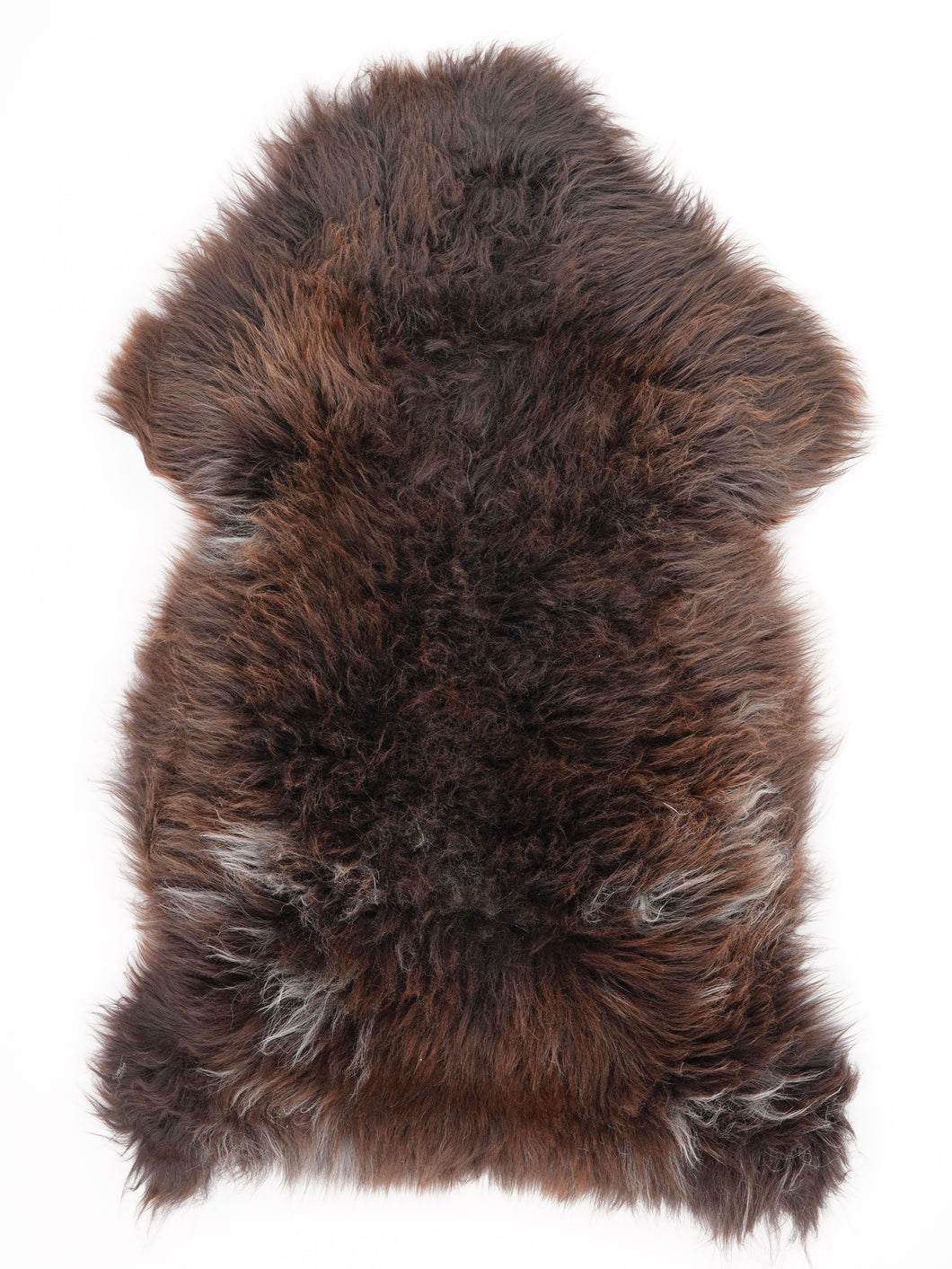 Įvairiaspalvis avikailis L