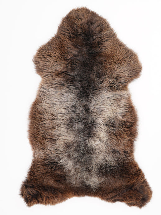 Įvairiaspalvis avikailis L