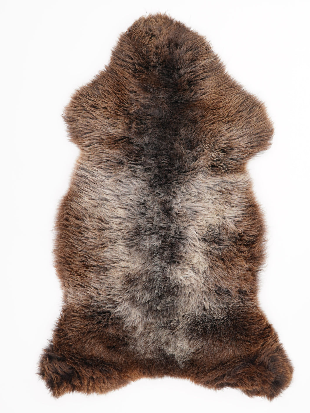 Įvairiaspalvis avikailis L