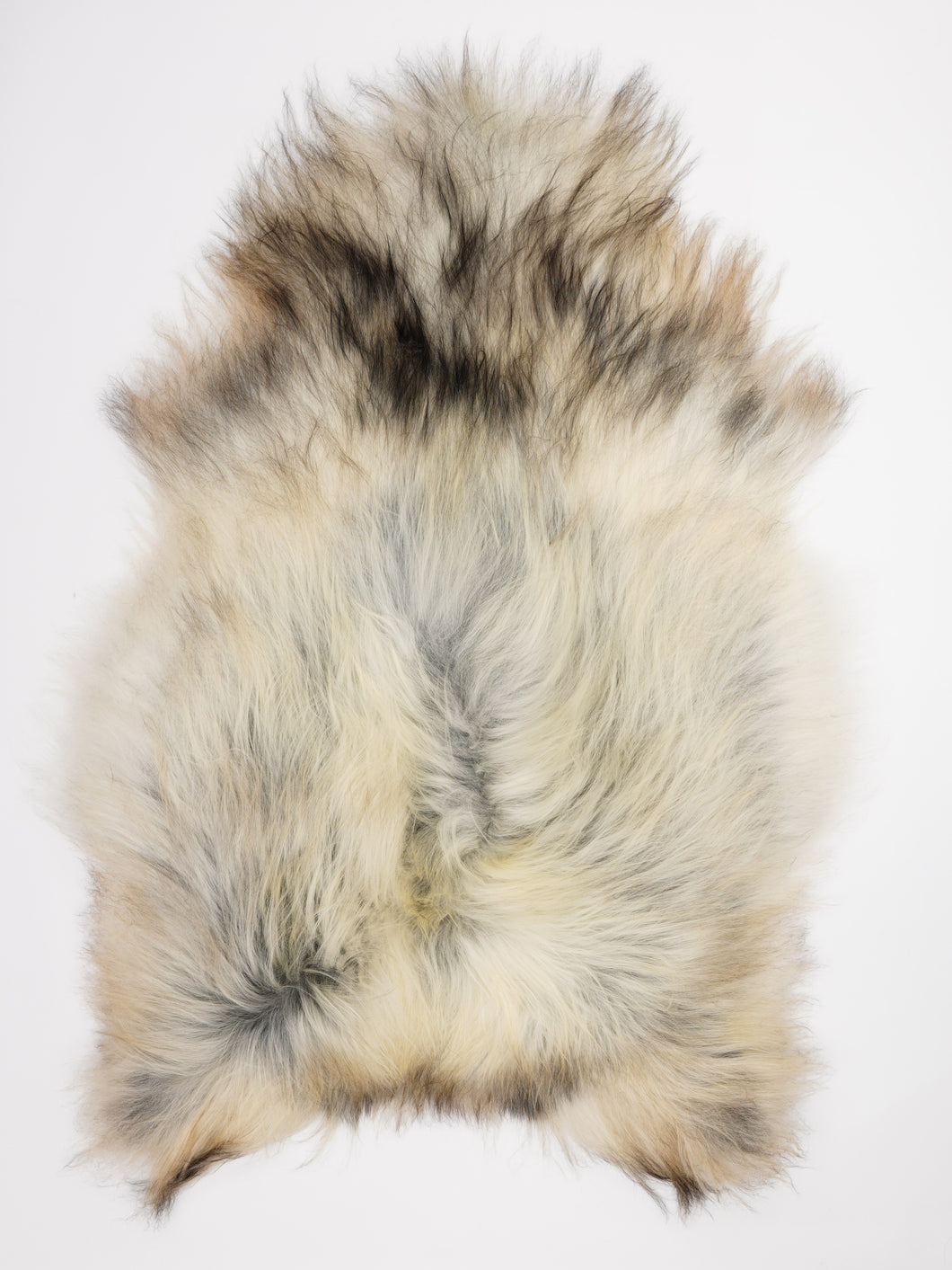 Pilkas islandiškas avikailis XXL