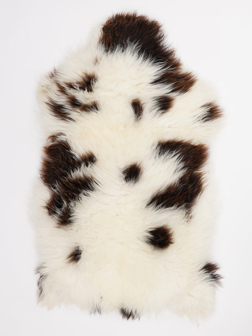 Įvairiaspalvis avikailis XL