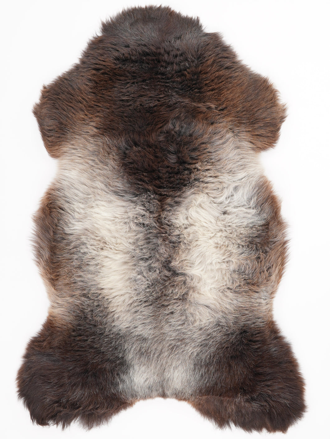 Įvairiaspalvis avikailis XL