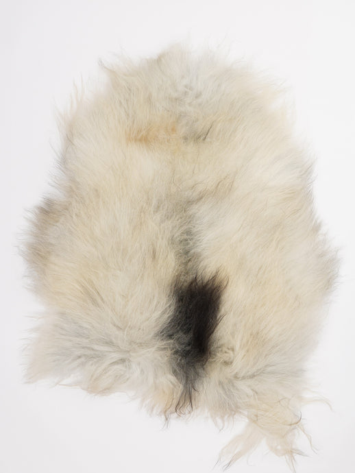 Islandiškas avikailis L