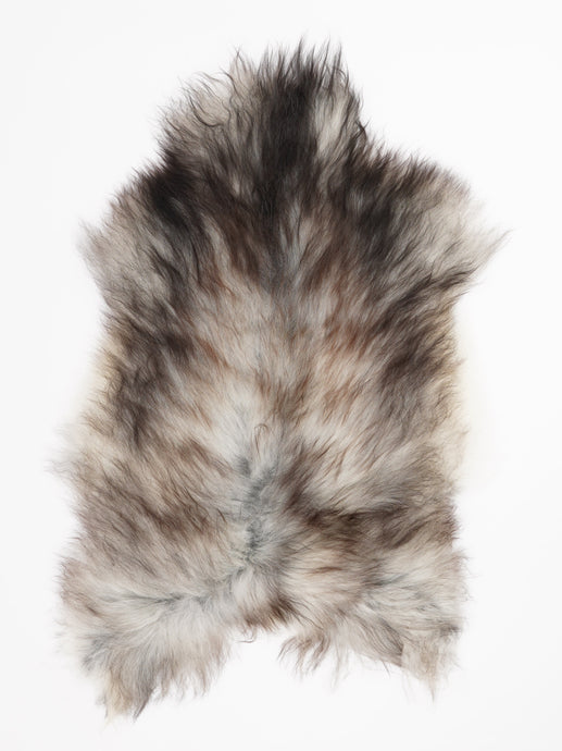 Pilkas islandiškas avikailis L