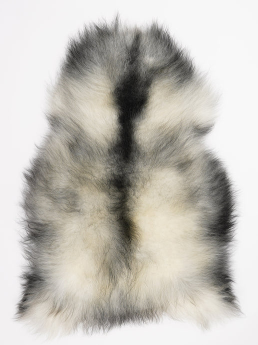 Pilkas islandiškas avikailis XL