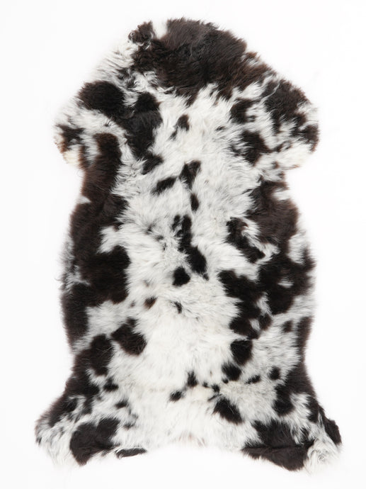 Įvairiaspalvis avikailis L