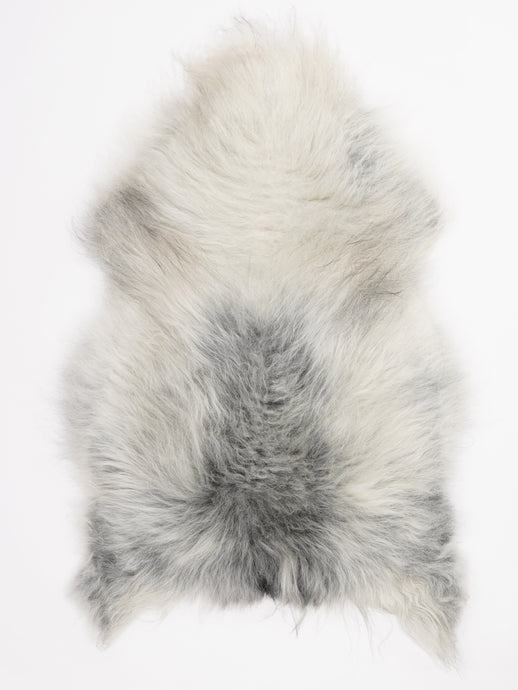 Islandiškas avikailis XL