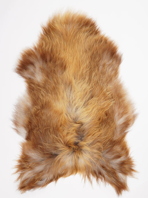 Islandiškas avikailis XXL