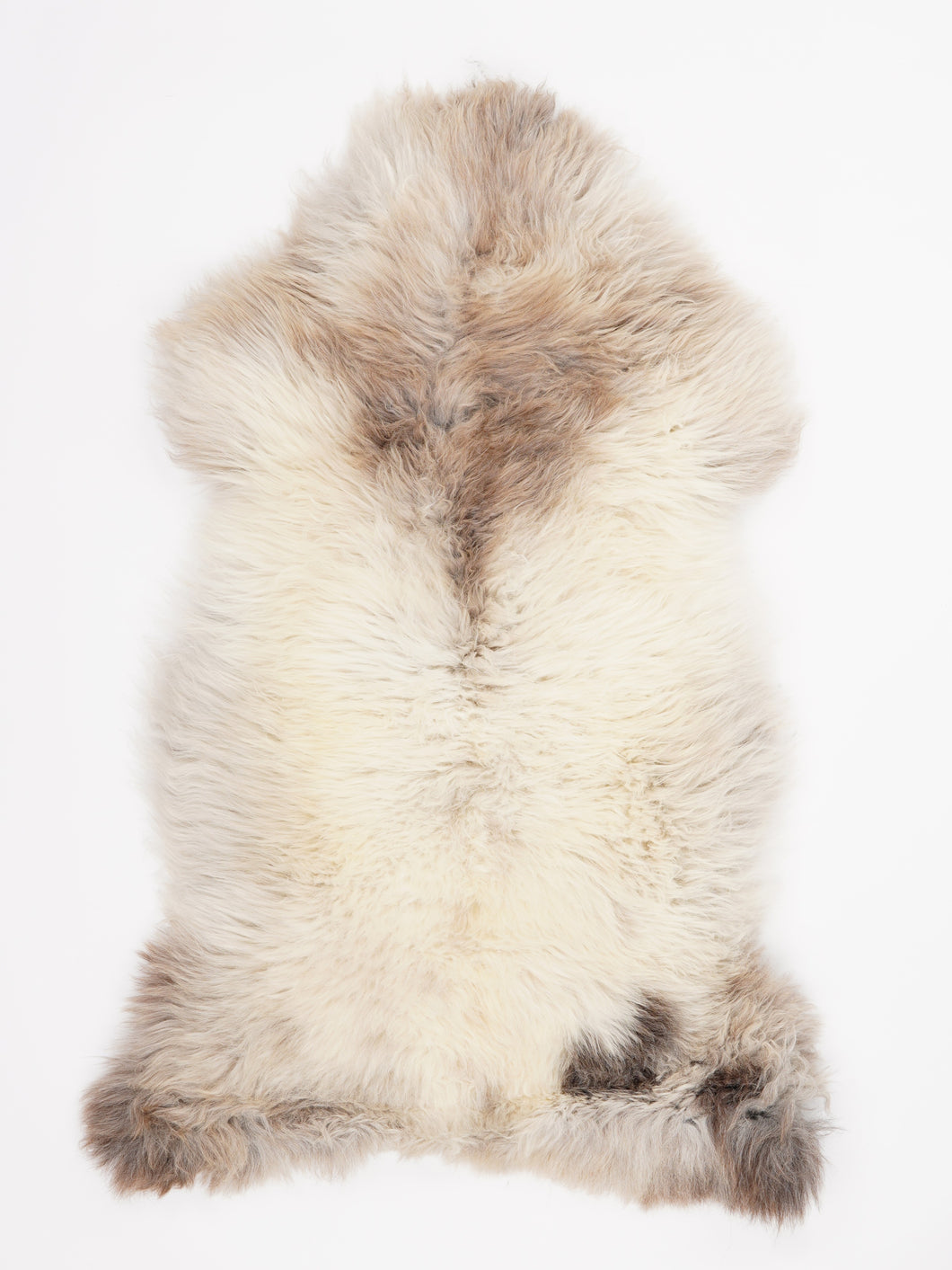 Įvairiaspalvis avikailis XL