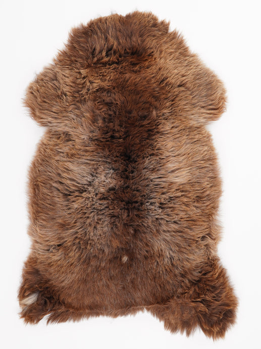 Įvairiaspalvis avikailis L