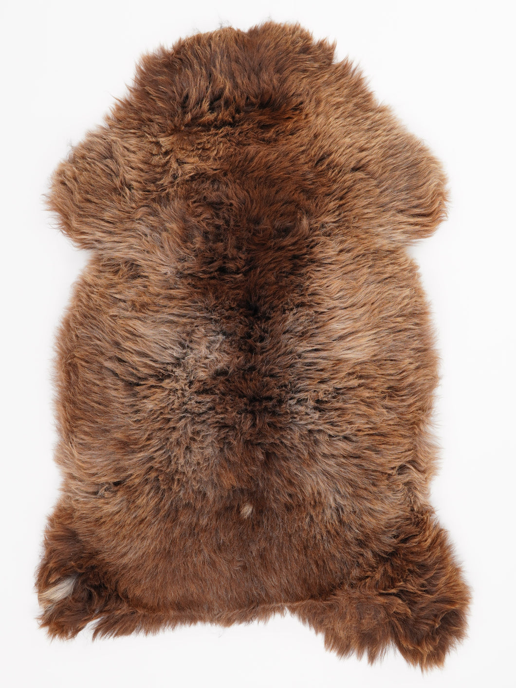 Įvairiaspalvis avikailis L