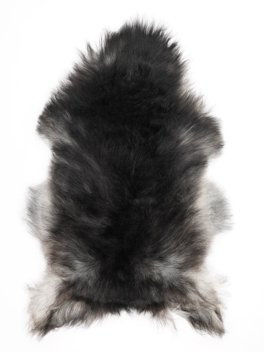 Pilkas islandiškas avikailis L