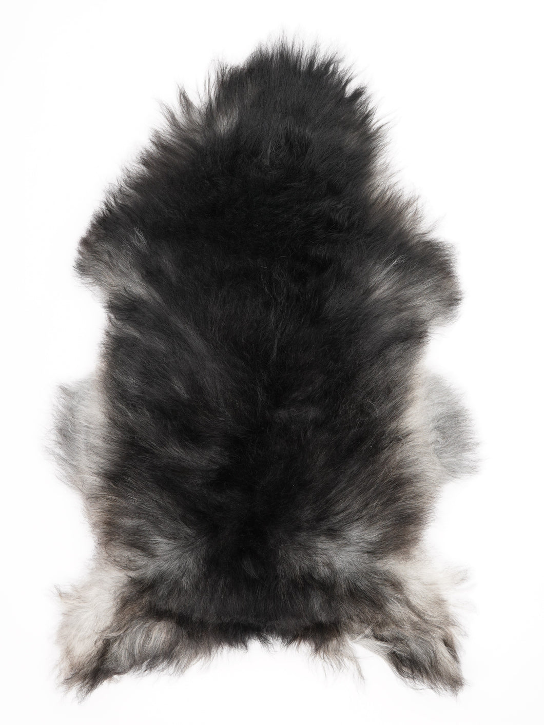 Pilkas islandiškas avikailis L