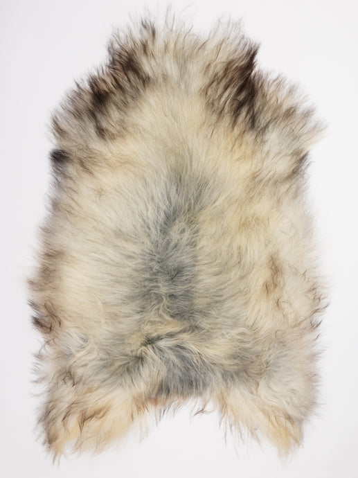 Pilkas islandiškas avikailis XXL