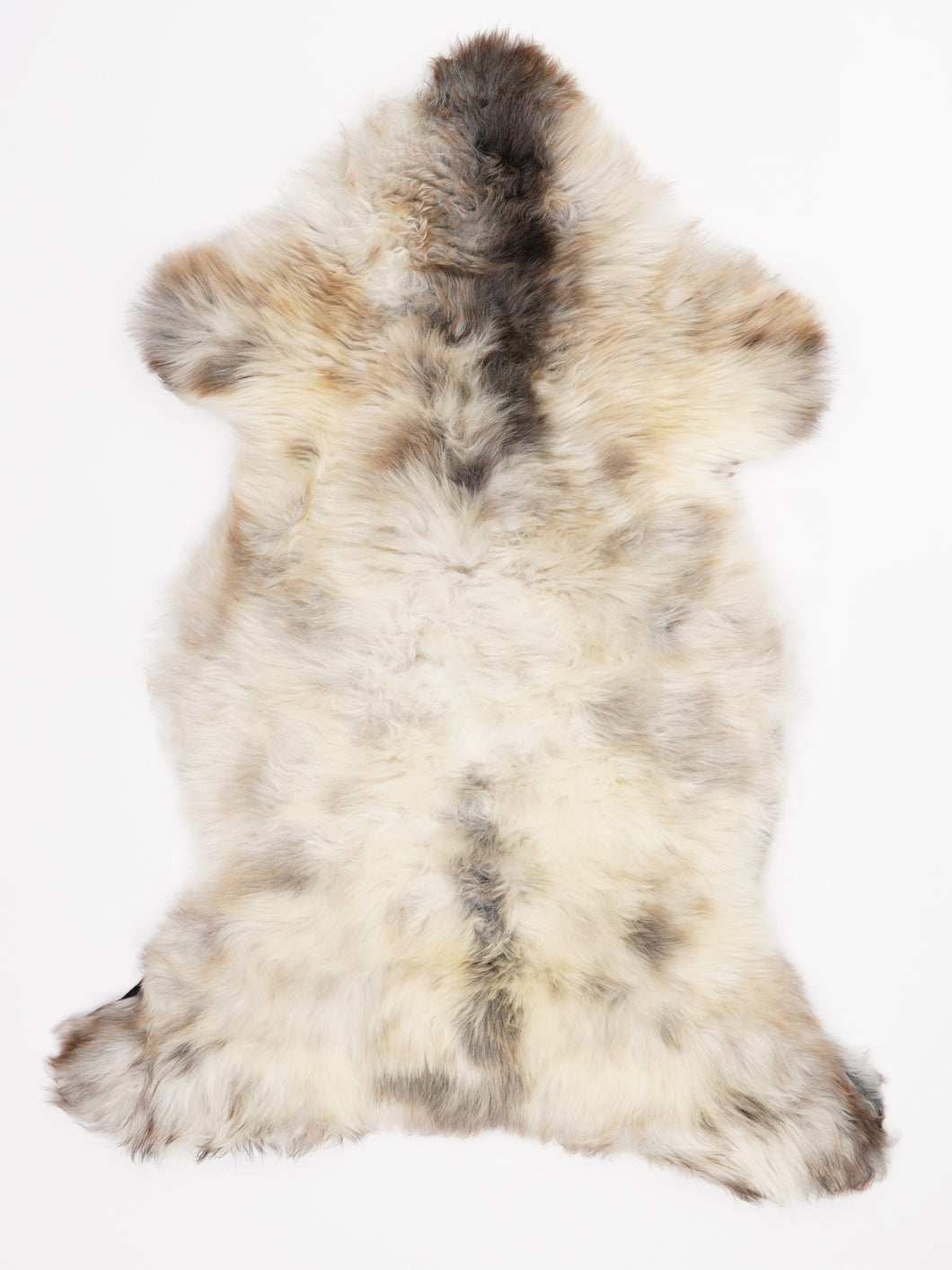 Įvairiaspalvis avikailis L