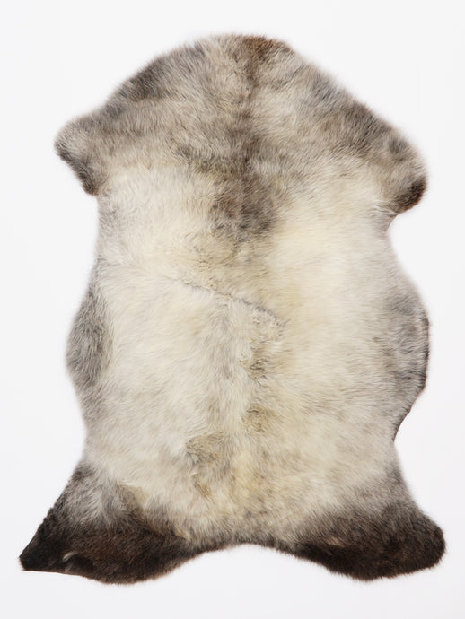 Įvairiaspalvis avikailis M