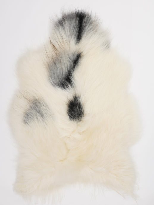 Islandiškas avikailis L