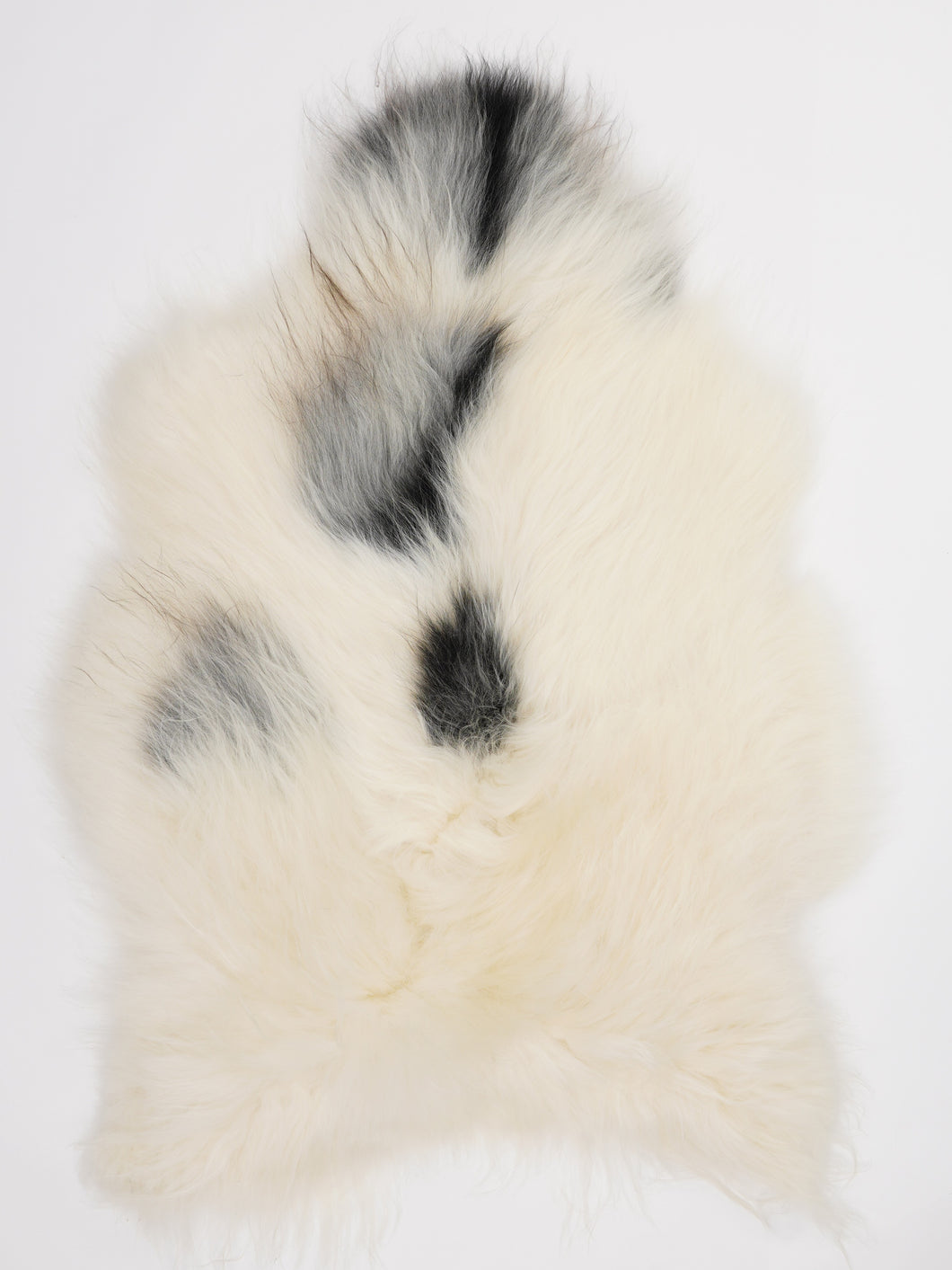 Islandiškas avikailis L