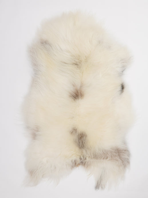 Islandiškas avikailis XL