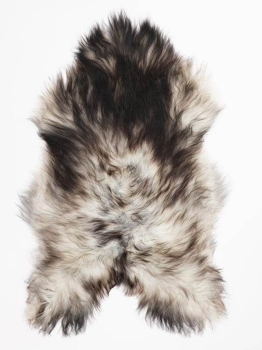 Pilkas islandiškas avikailis XL