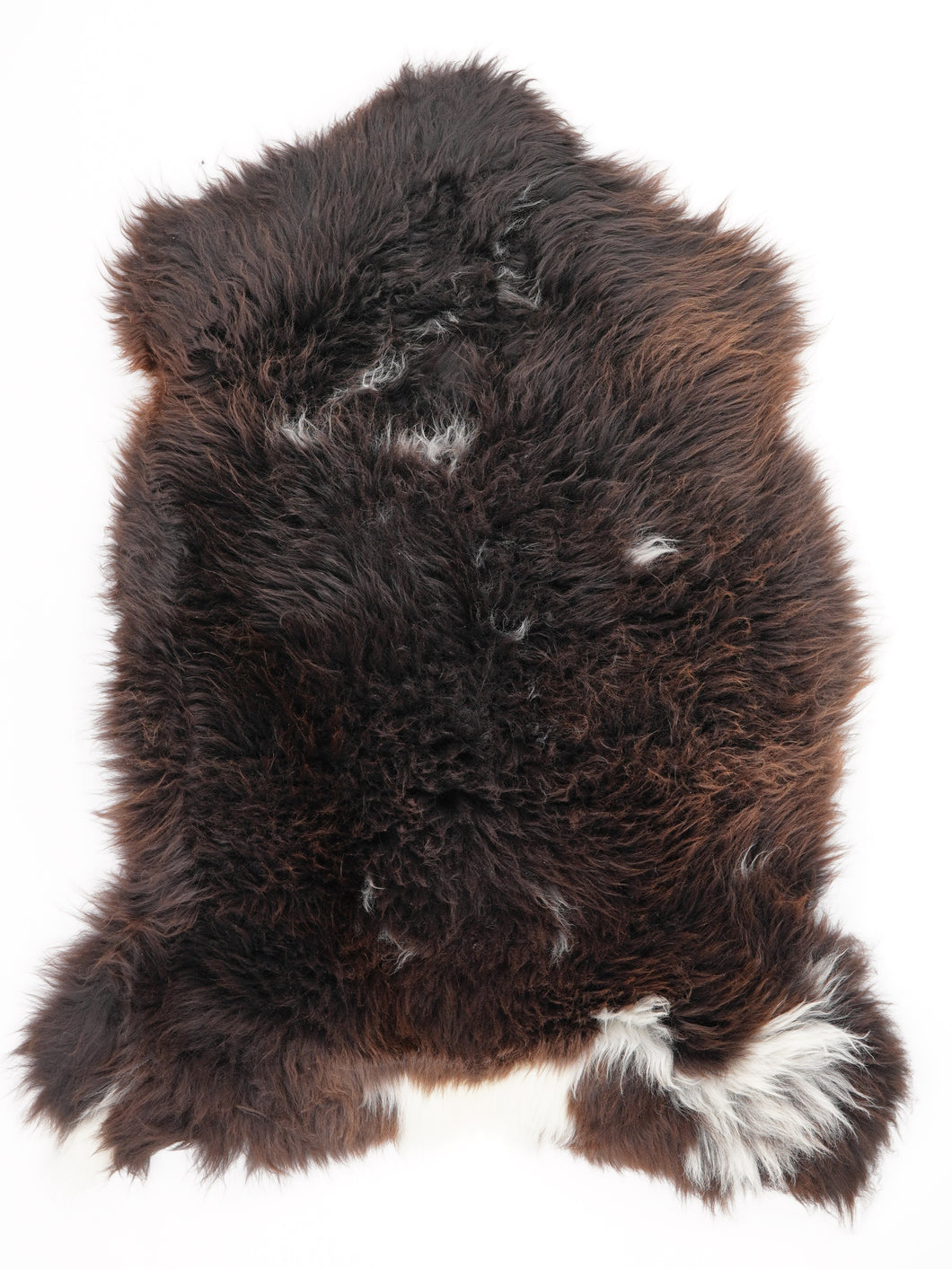 Įvairiaspalvis avikailis L