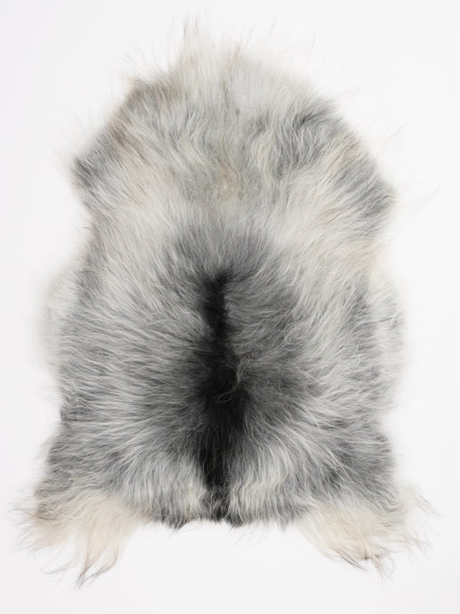 Pilkas islandiškas avikailis XL