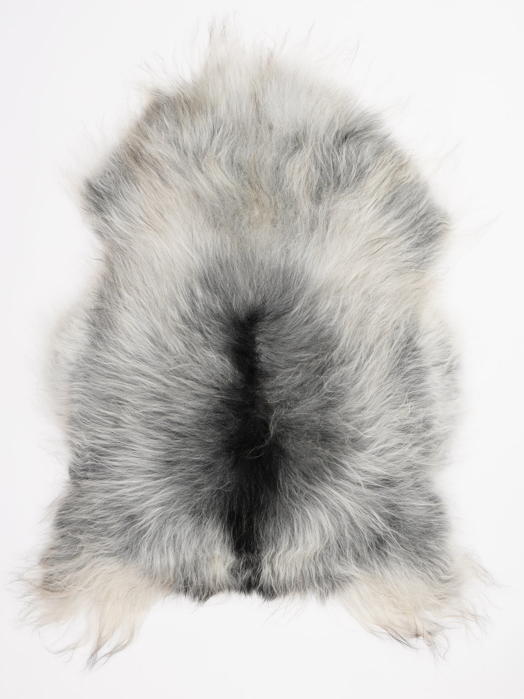 Pilkas islandiškas avikailis XL