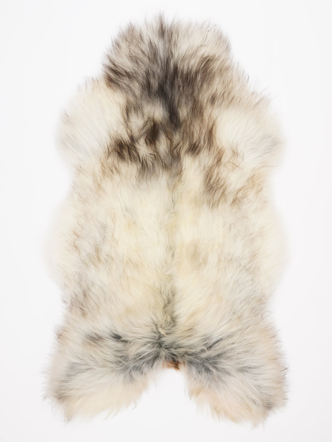 Islandiškas avikailis XXL