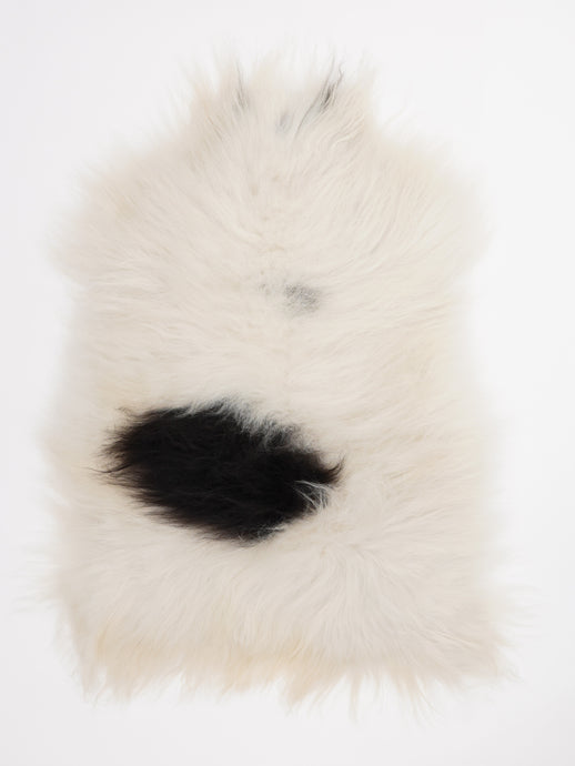 Islandiškas avikailis L