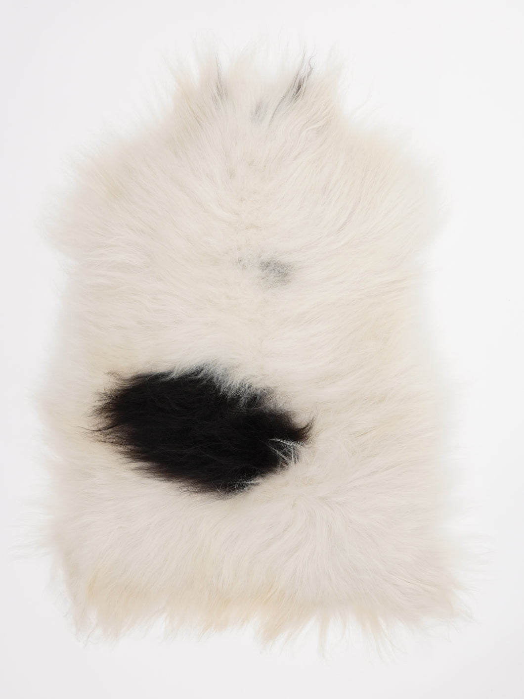 Islandiškas avikailis L