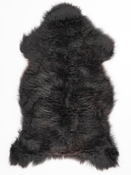 Įvairiaspalvis avikailis XL