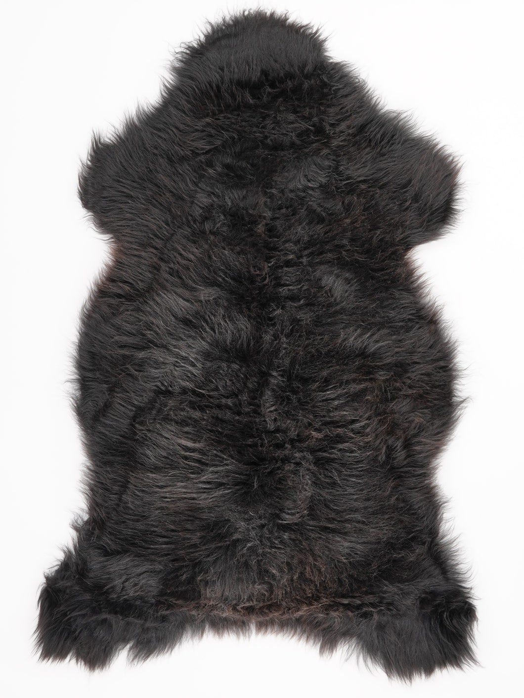 Įvairiaspalvis avikailis XL