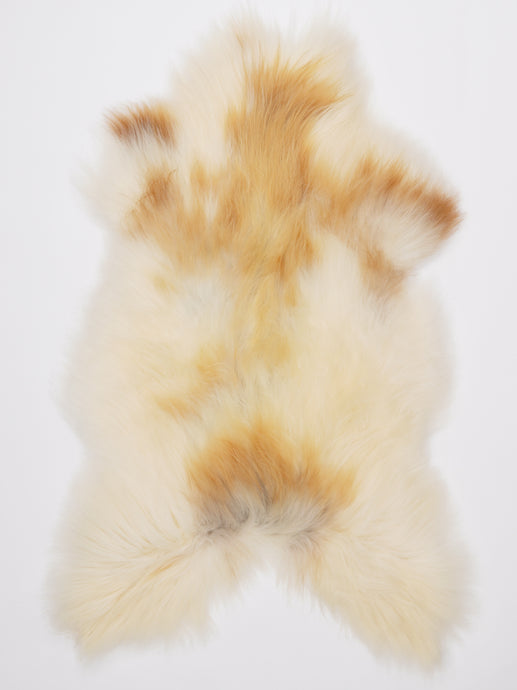 Islandiškas avikailis XL