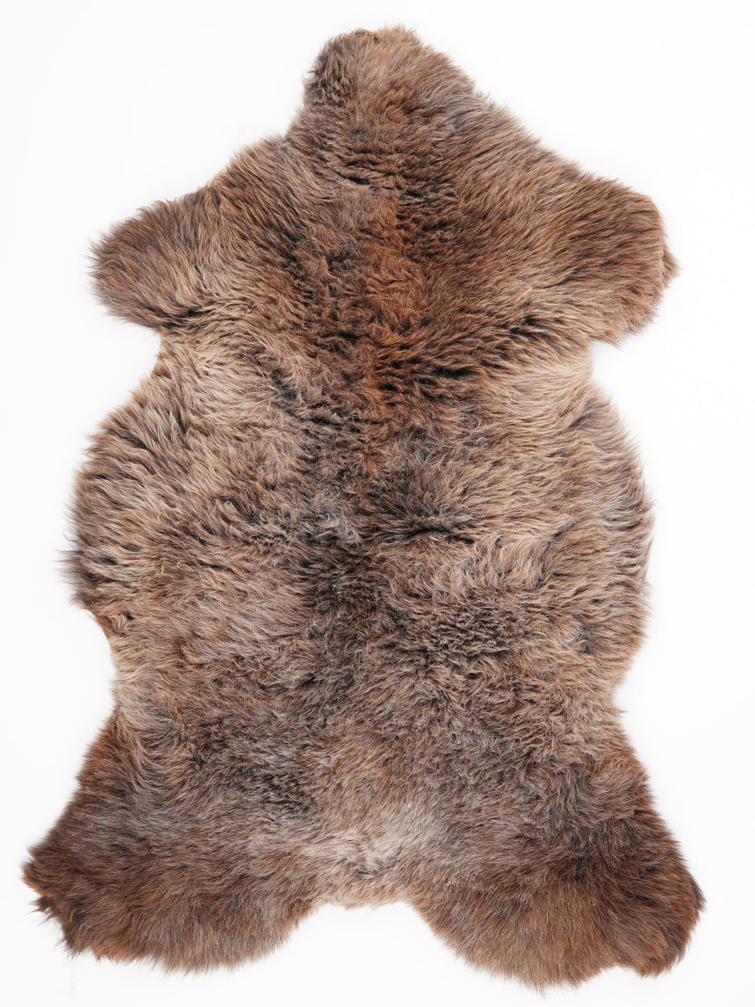 Įvairiaspalvis avikailis L