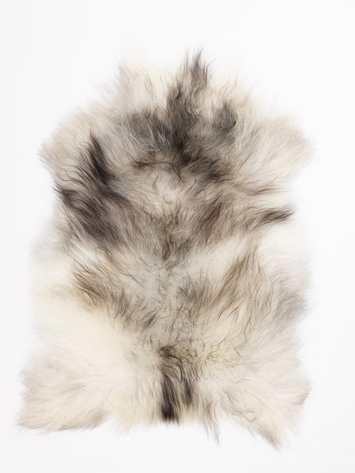 Islandiškas avikailis L