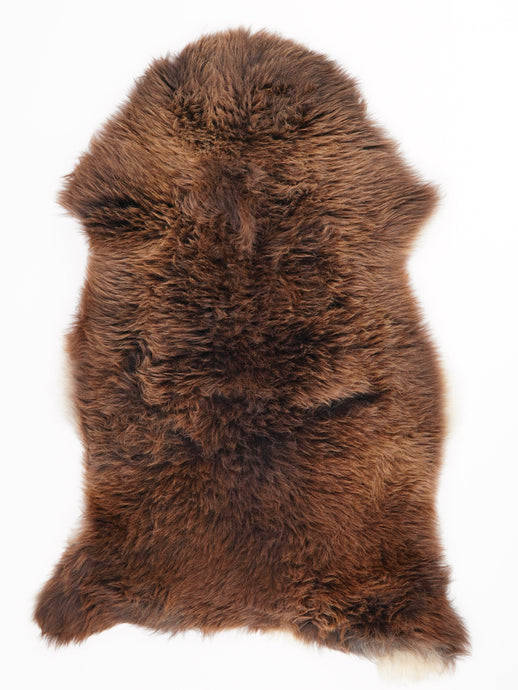 Įvairiaspalvis avikailis L