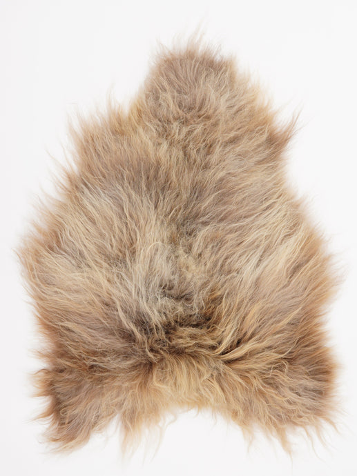 Islandiškas avikailis M