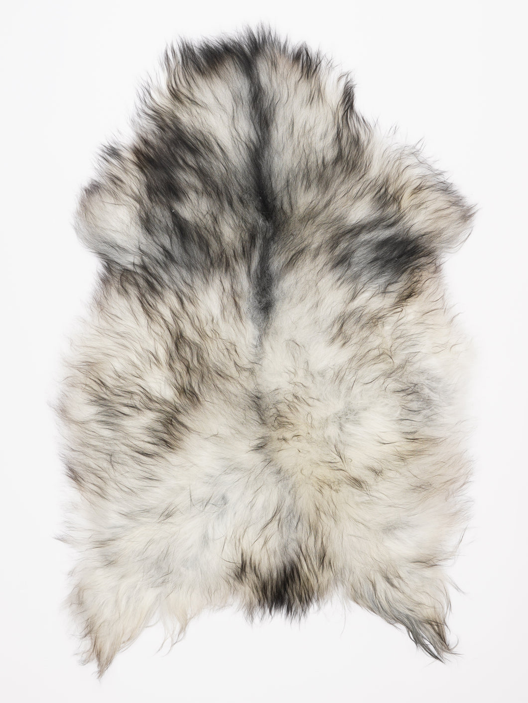 Islandiškas avikailis L