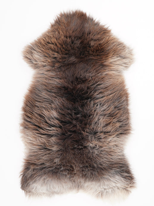 Įvairiaspalvis avikailis L