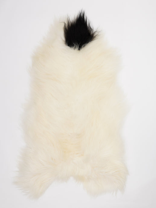 Islandiškas avikailis XL